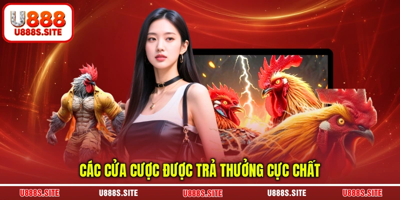 Các cửa cược được trả thưởng cực chất
